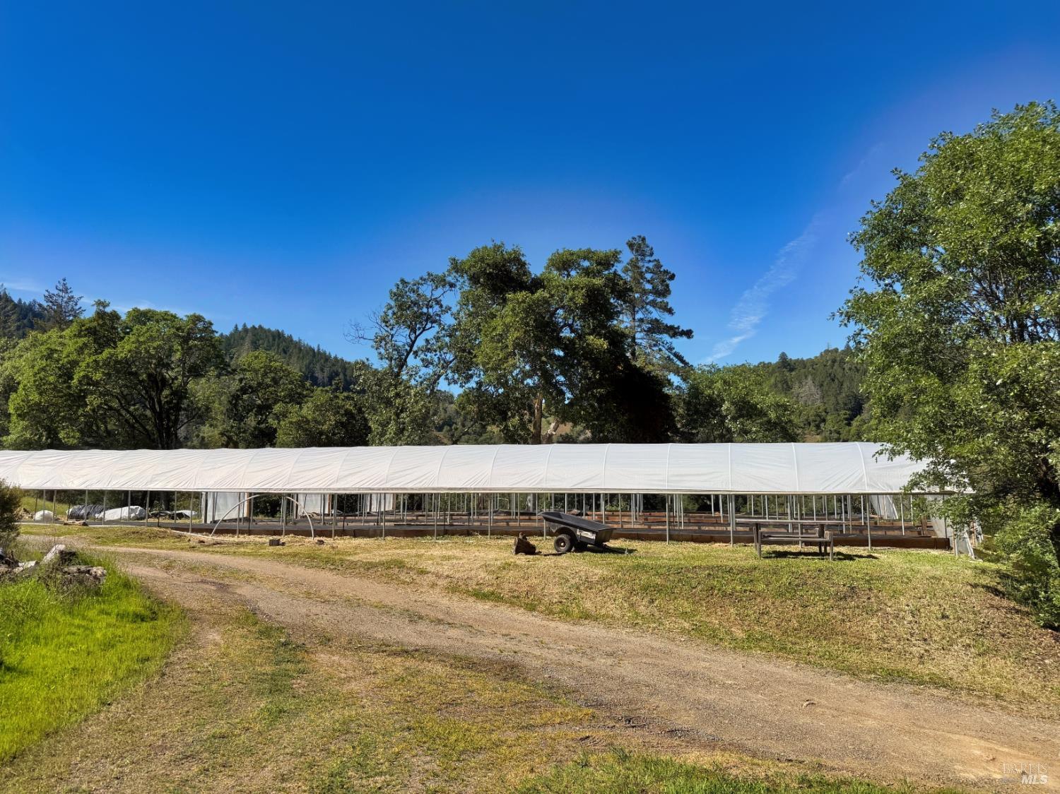 2501 Main Ranch Road Redwood Valley, CA 95470 - Photo 40 of 57 a view of a swimming pool with trees and a yard