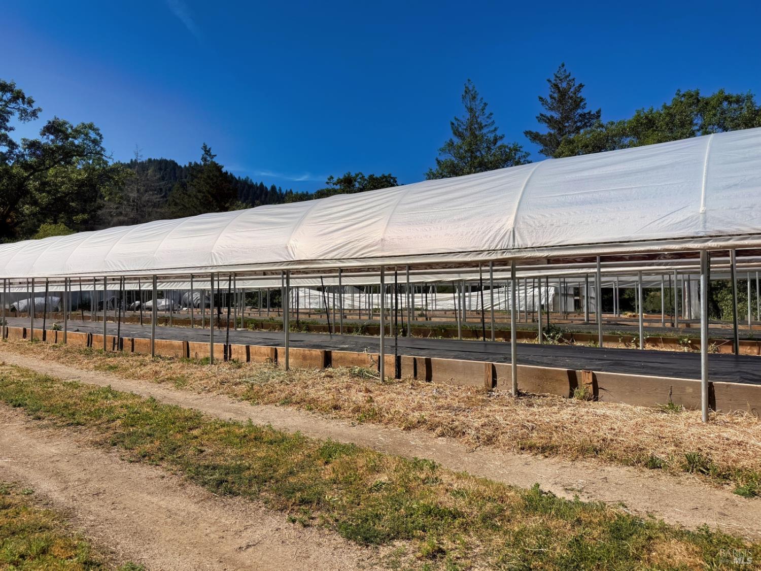2501 Main Ranch Road Redwood Valley, CA 95470 - Photo 41 of 57 a view of a swimming pool with an outdoor seating