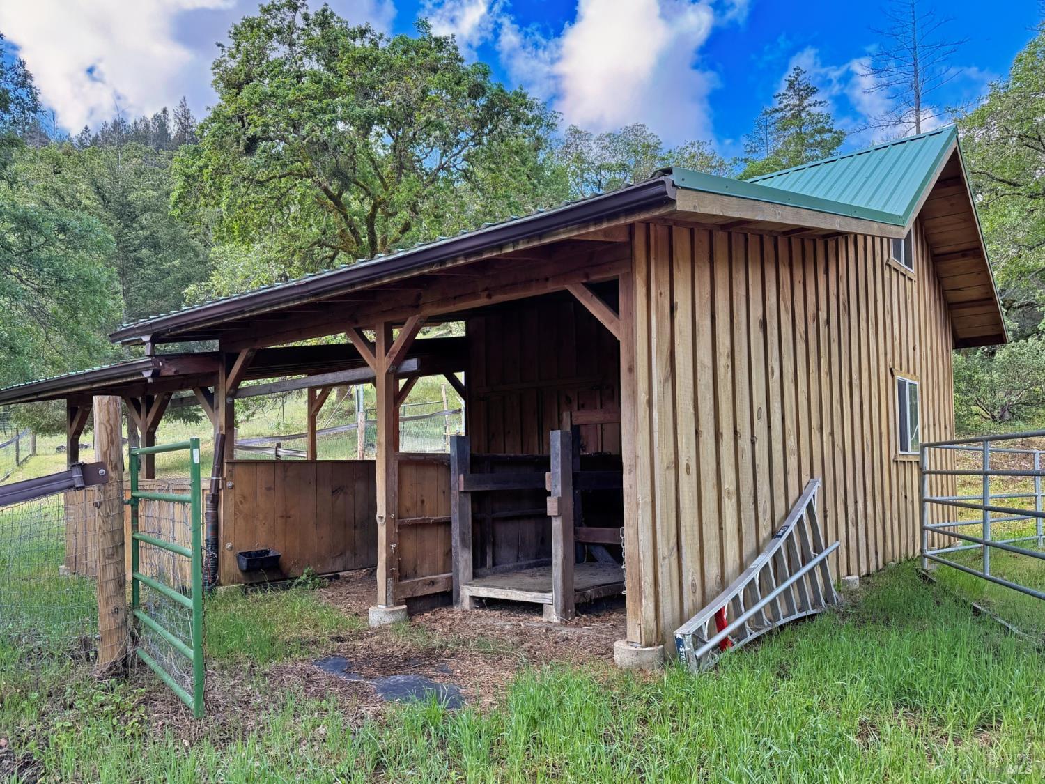 2501 Main Ranch Road Redwood Valley, CA 95470 - Photo 50 of 57 a view of a backyard with wooden fence and large trees