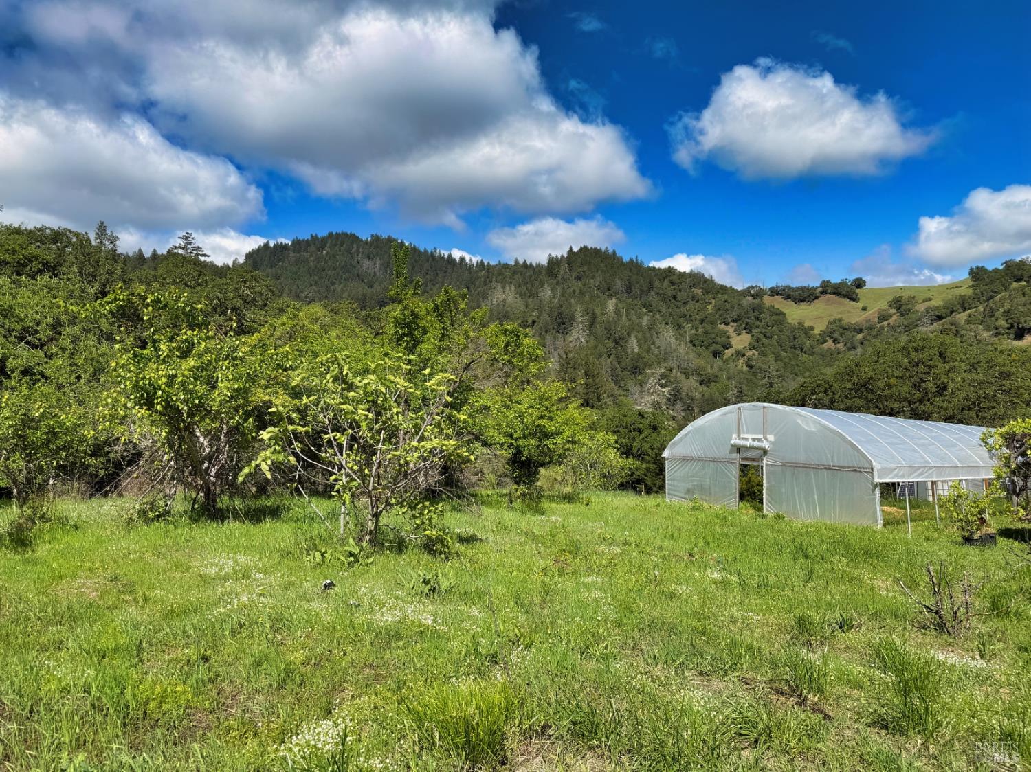 2501 Main Ranch Road Redwood Valley, CA 95470 - Photo 57 of 57 a view of a house with a yard