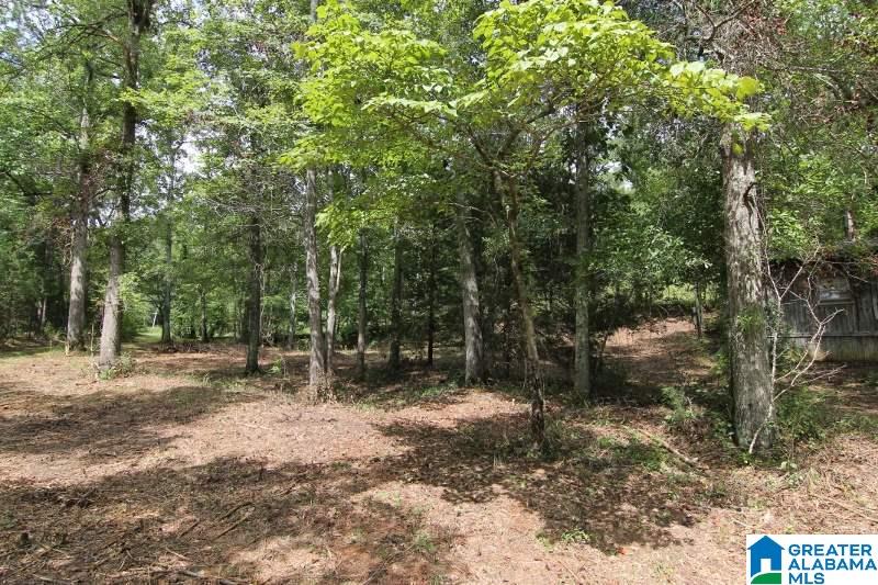4312 County Road, Unit 17 Wedowee, AL 36278 - Photo 27 of 41