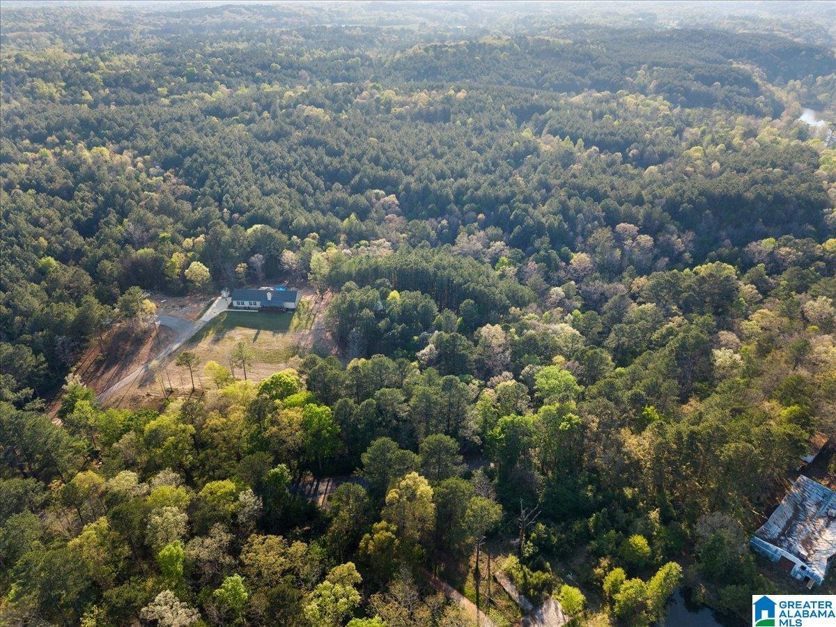 1009 Deaver Walker Road Trafford, AL 35172 - Photo 34 of 39