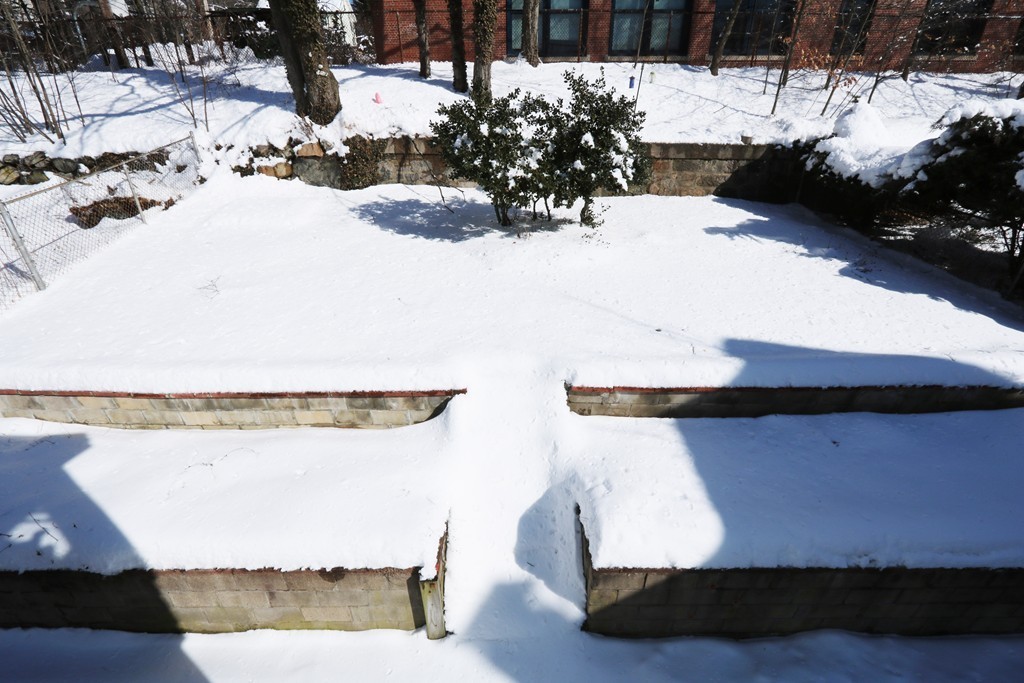 12 Preston Road Boston, MA 02132 - Photo 25 of 25