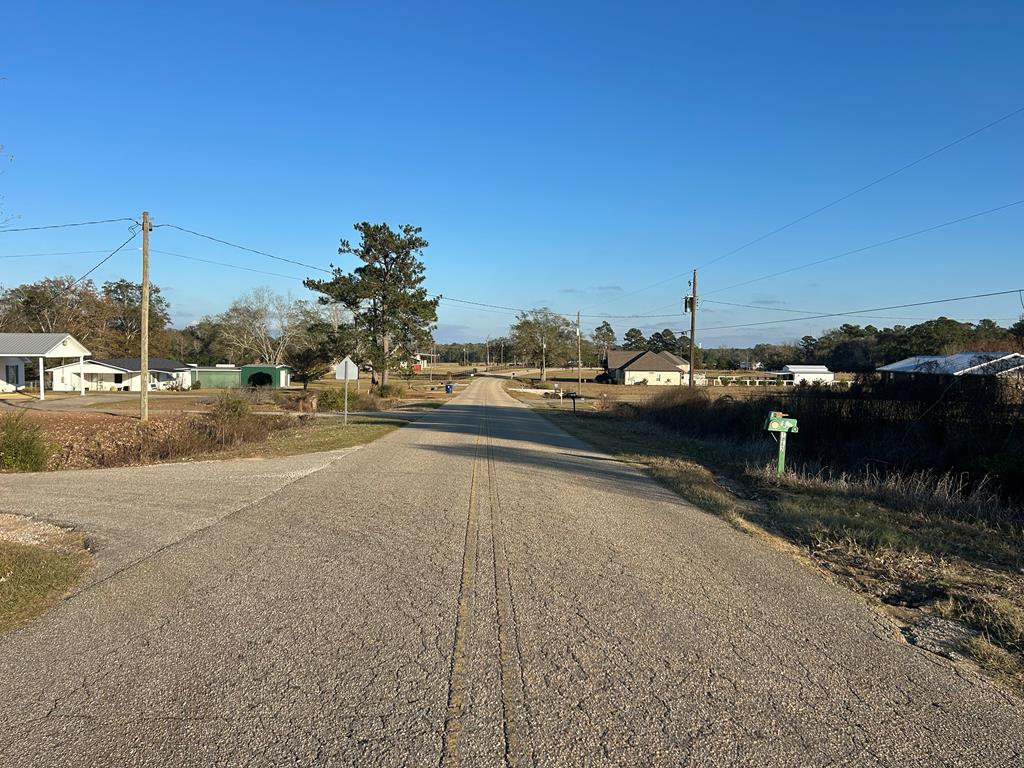 51.8-ac Hadden Road Dothan, AL 36301 - Photo 33 of 43
