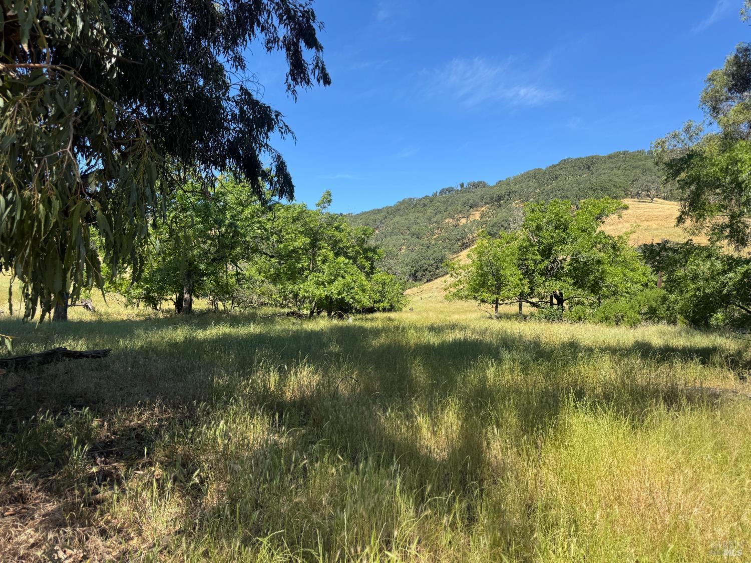 5275 Lyon Road Fairfield, CA 94534 - Photo 8 of 41