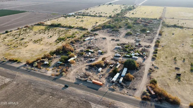 a view of a dry plant