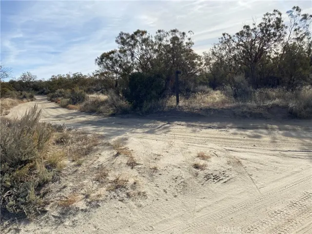 a view of a yard with a tree