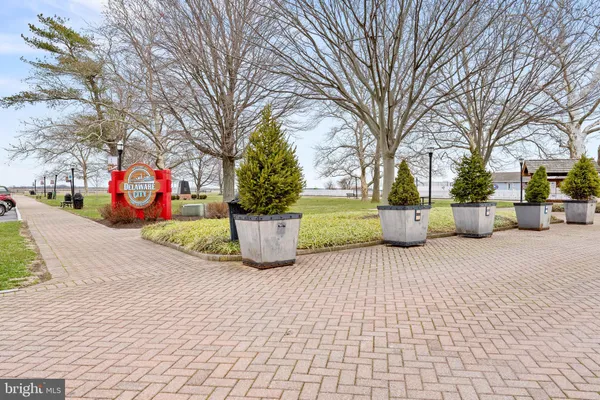 a view of a trees with yard