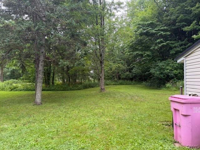 9200 Howd Road Camden, NY 13316 - Photo 22 of 22