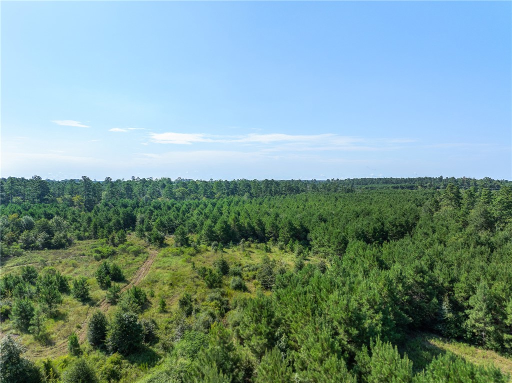 109 Old Sign Road, Unit COUNTYROAD Midway, TX 75852 - Photo 15 of 33 a view of a green field