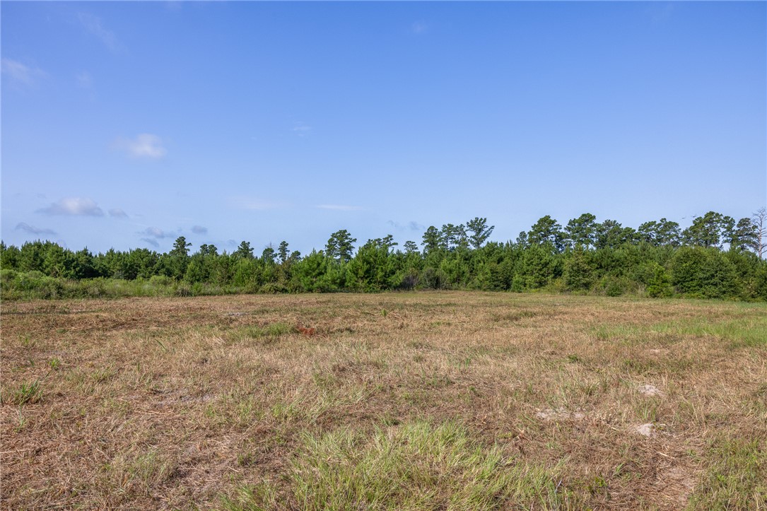 109 Old Sign Road, Unit COUNTYROAD Midway, TX 75852 - Photo 17 of 33 a view of a field with trees in background