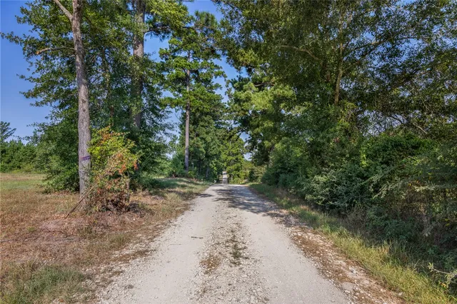 a view of a dirt pathway both side of yard