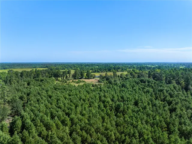 a view of a field with an ocean