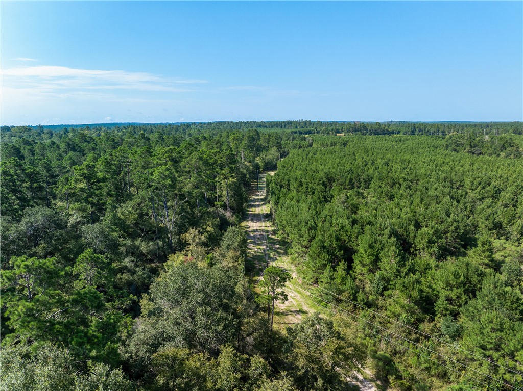109 Old Sign Road, Unit COUNTYROAD Midway, TX 75852 - Photo 23 of 33 a view of a field with an ocean