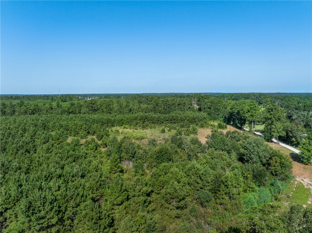 109 Old Sign Road, Unit COUNTYROAD Midway, TX 75852 - Photo 28 of 33 a view of yard with grass
