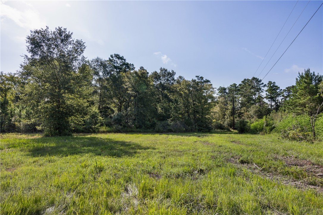 109 Old Sign Road, Unit COUNTYROAD Midway, TX 75852 - Photo 3 of 33 a view of a field with trees in the background