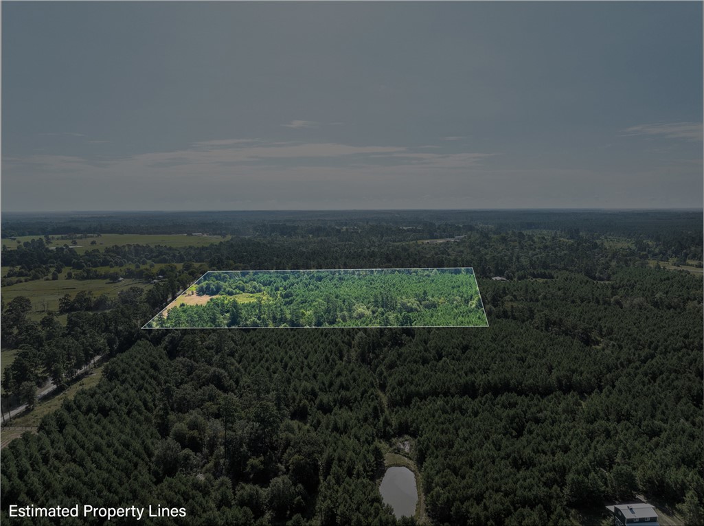 109 Old Sign Road, Unit COUNTYROAD Midway, TX 75852 - Photo 31 of 33