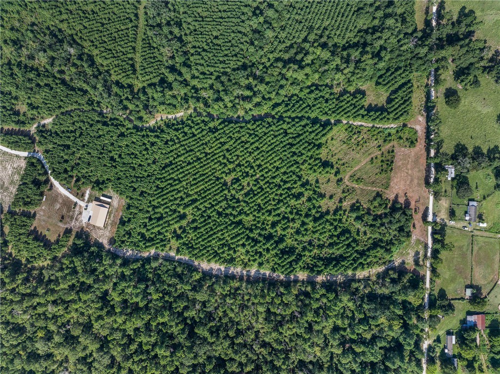 109 Old Sign Road, Unit COUNTYROAD Midway, TX 75852 - Photo 8 of 33