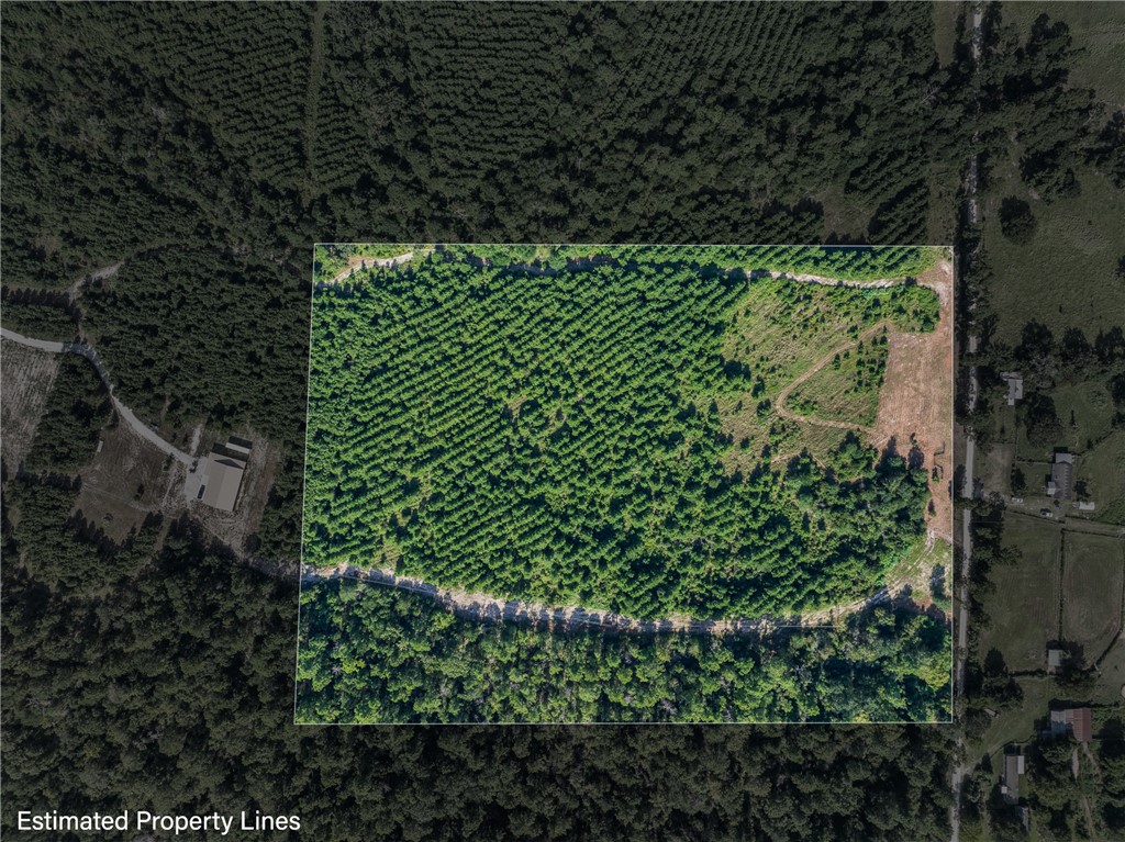 109 Old Sign Road, Unit COUNTYROAD Midway, TX 75852 - Photo 9 of 33 a view of a garden