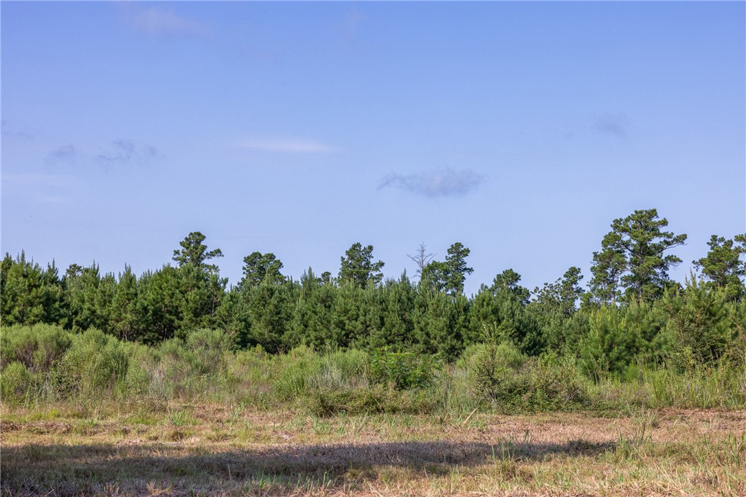109 Old Sign Road, Unit COUNTYROAD Midway, TX 75852 - Photo 10 of 33 a view of a yard