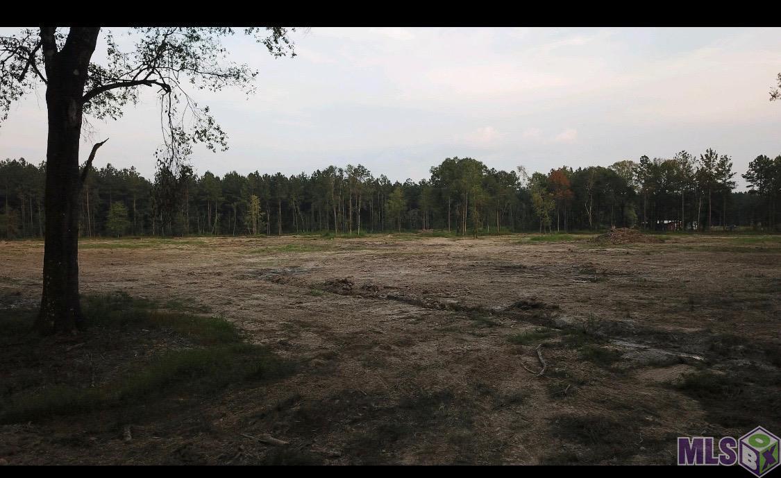 3 B John Barber Road Holden, LA 70744 - Photo 7 of 8 Gallery Image 7