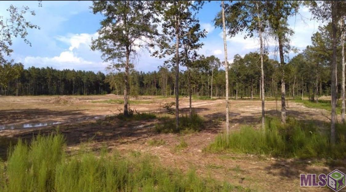 3 B John Barber Road Holden, LA 70744 - Photo 8 of 8 Gallery Image 8