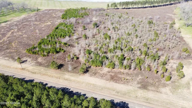 a view of a garden with a pathway