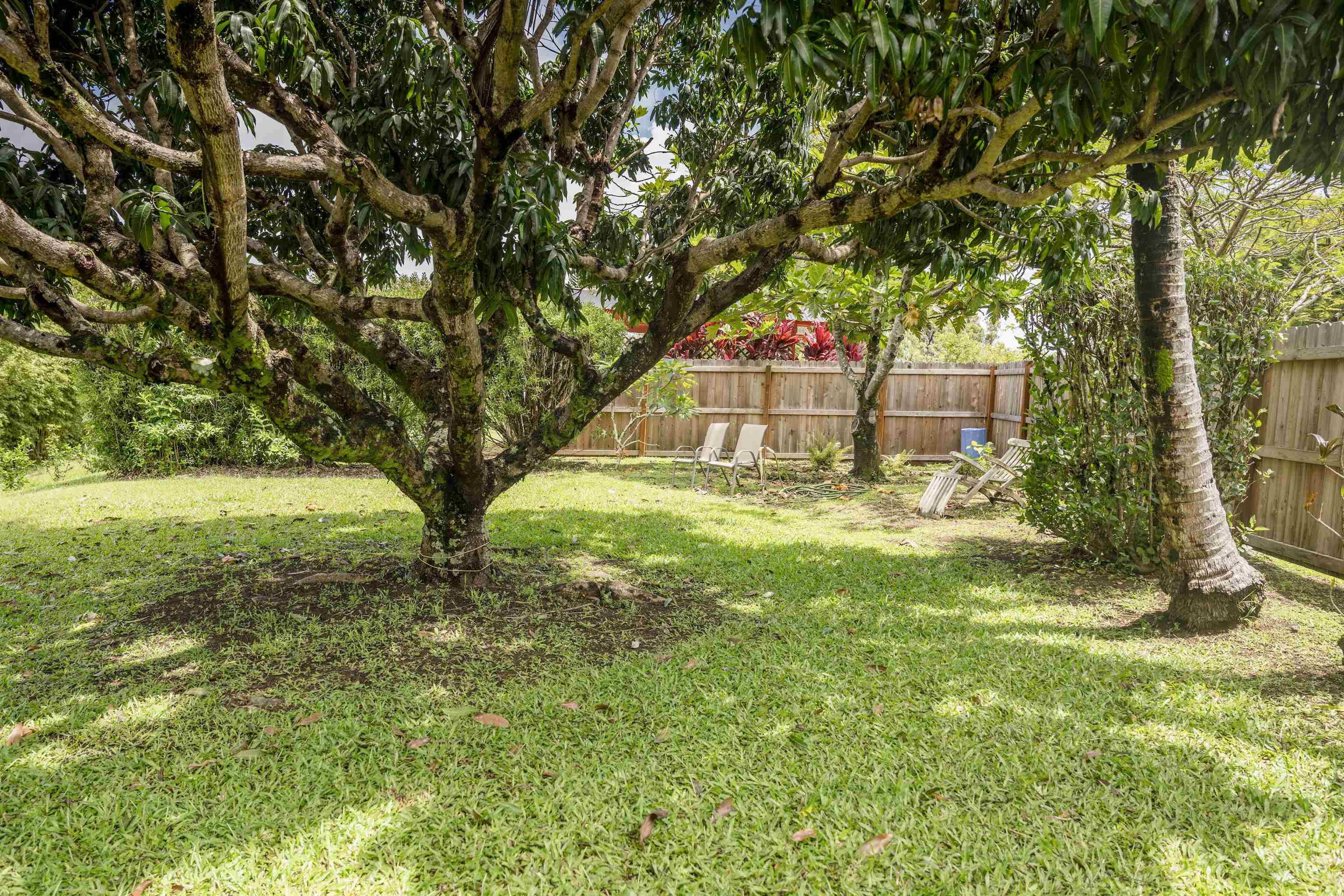 694 Kaupakalua Road, Unit B Haiku, HI 96708 - Photo 11 of 20