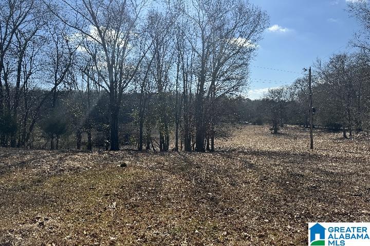 1036 Rushing Springs Road Lincoln, AL 35096 - Photo 20 of 58