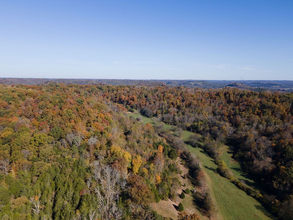 501 Tallent Road Pulaski, TN 38478 - Photo 20 of 23 an aerial view of a