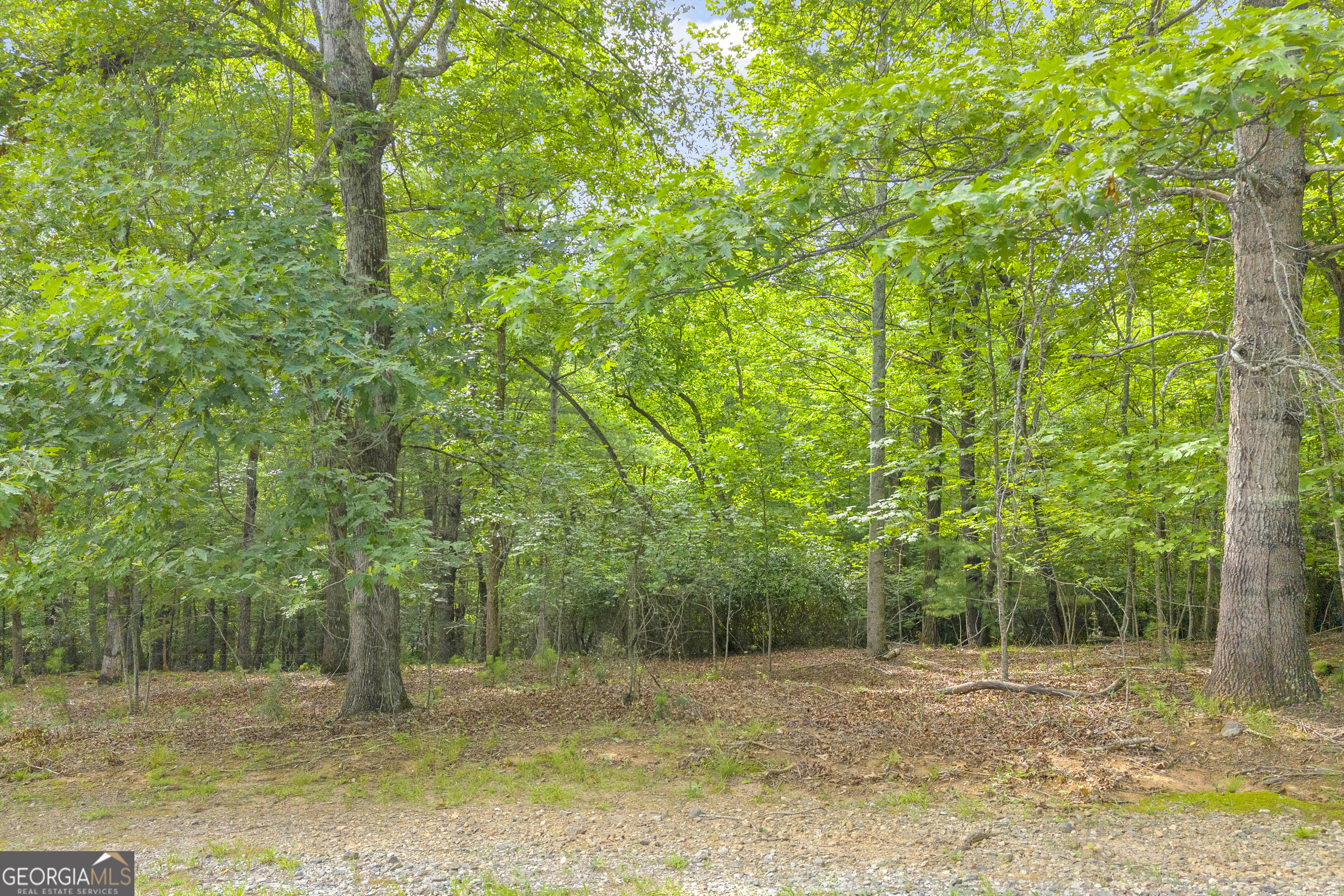 25 Forked Leaf Road Cleveland, GA 30528 - Photo 18 of 48
