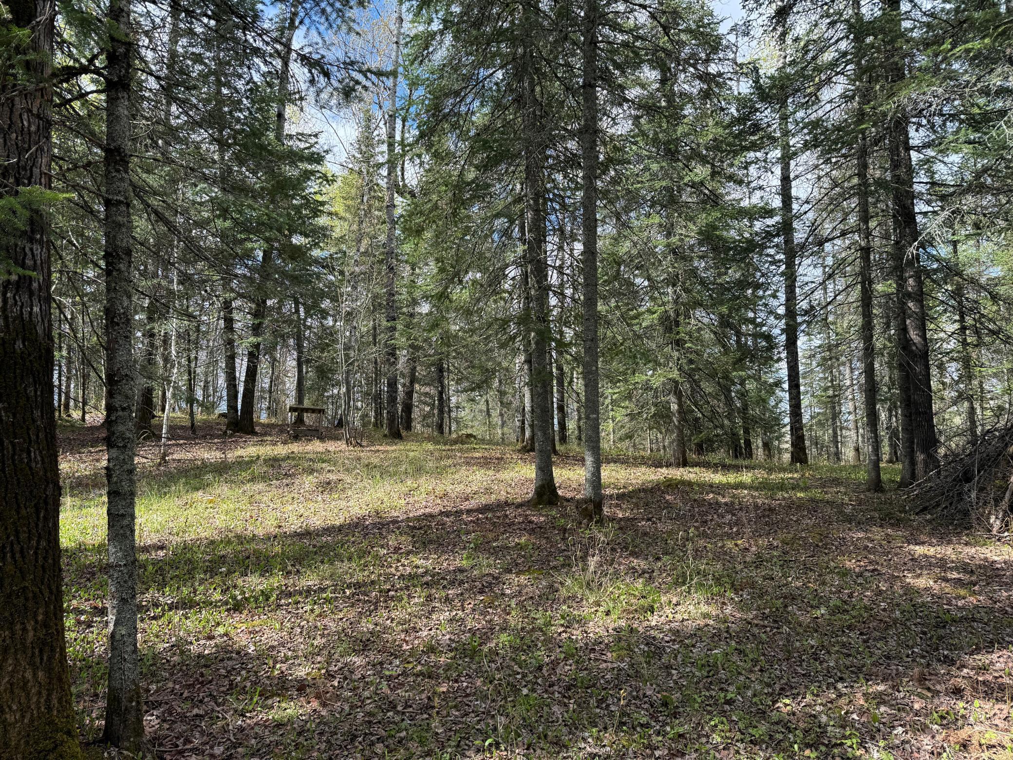 7355 West Melrude Road Cotton, MN 55724 - Photo 36 of 66