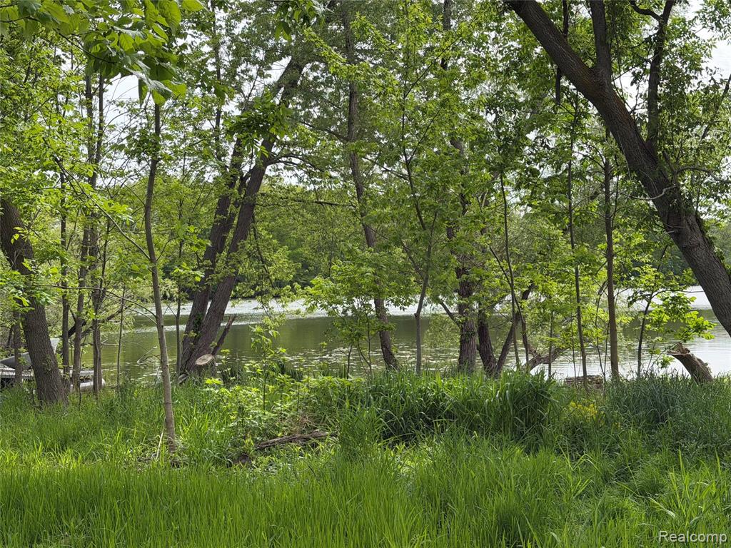 9200 Perry Road Atlas, MI 48411 - Photo 1 of 14