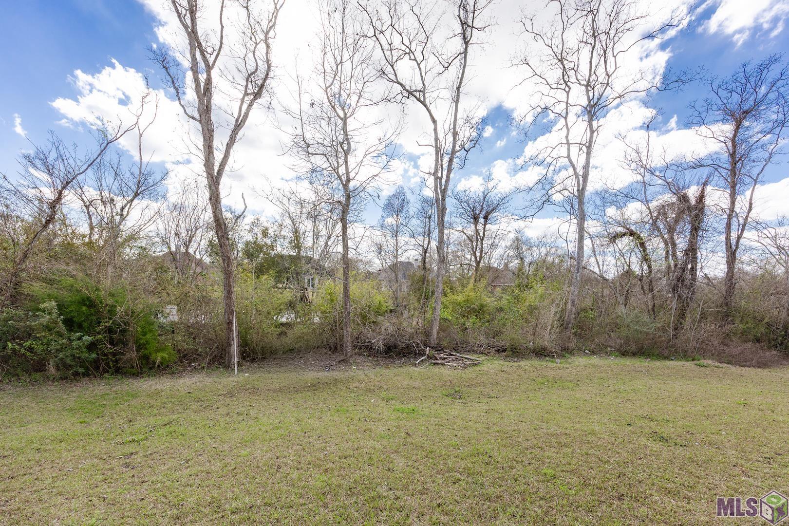 10802 Maitland Avenue Baton Rouge, LA 70810 - Photo 21 of 23