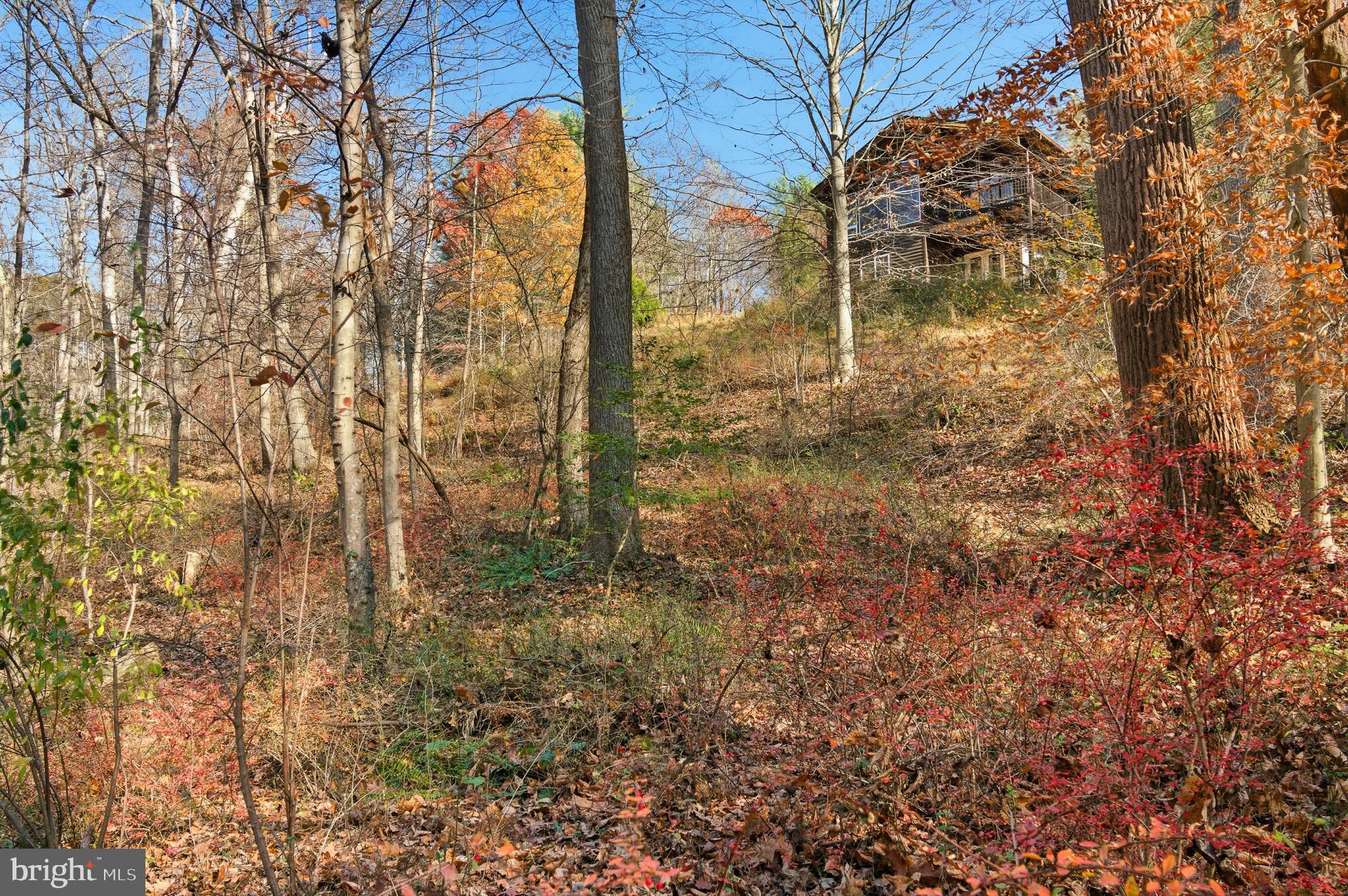 7170 Brooks Road Highland, MD 20777 - Photo 55 of 69