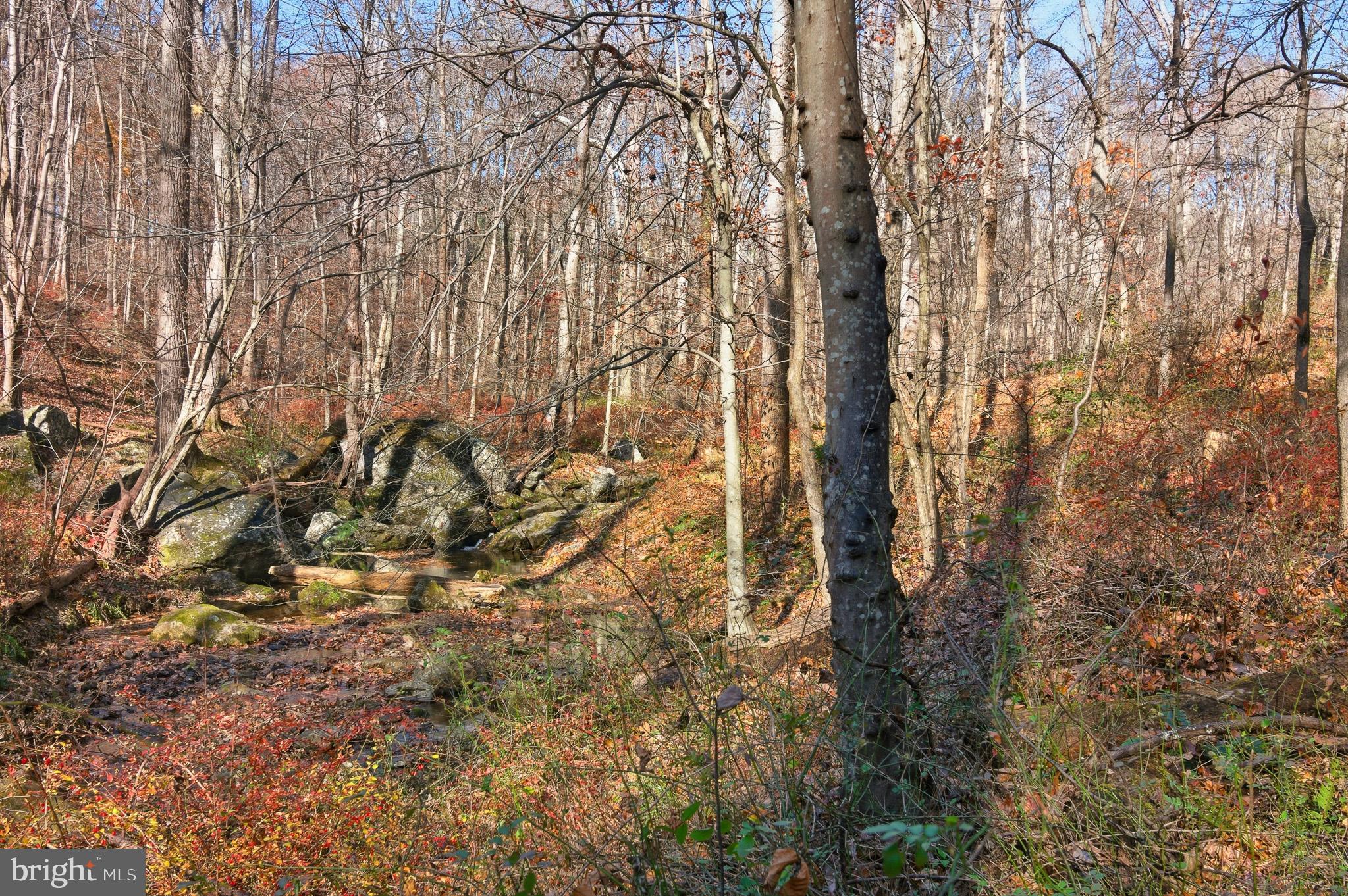 7170 Brooks Road Highland, MD 20777 - Photo 56 of 69