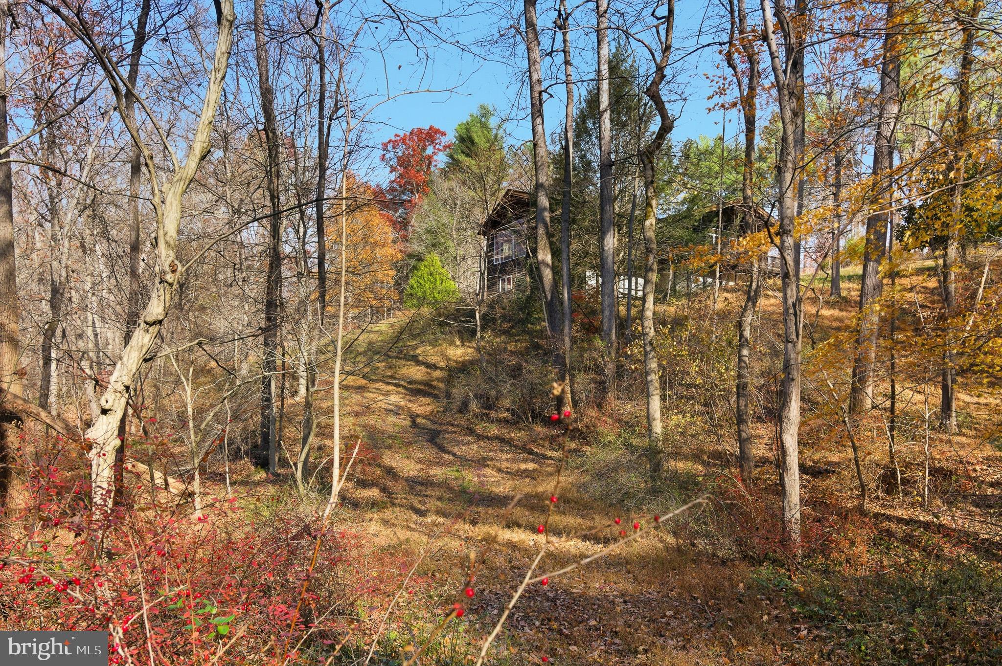 7170 Brooks Road Highland, MD 20777 - Photo 57 of 69