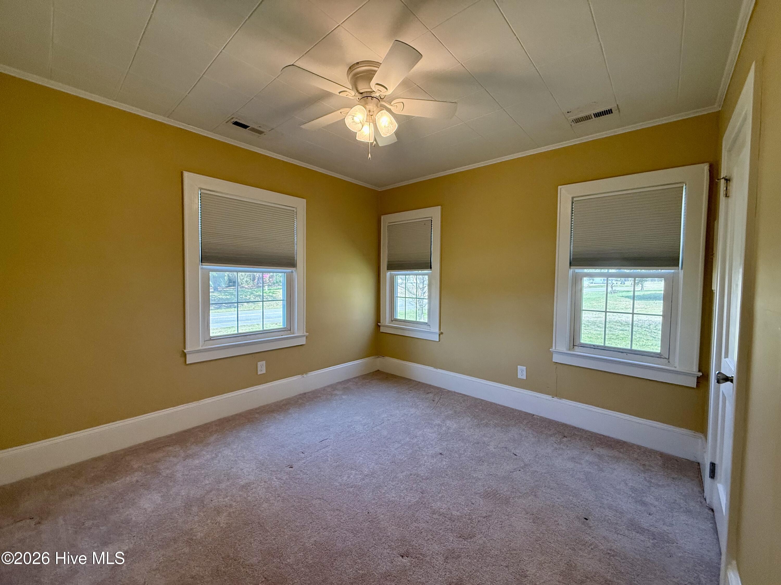 3773 Bear Grass Road Williamston, NC 27892 - Photo 46 of 55 Guest Bedroom 1