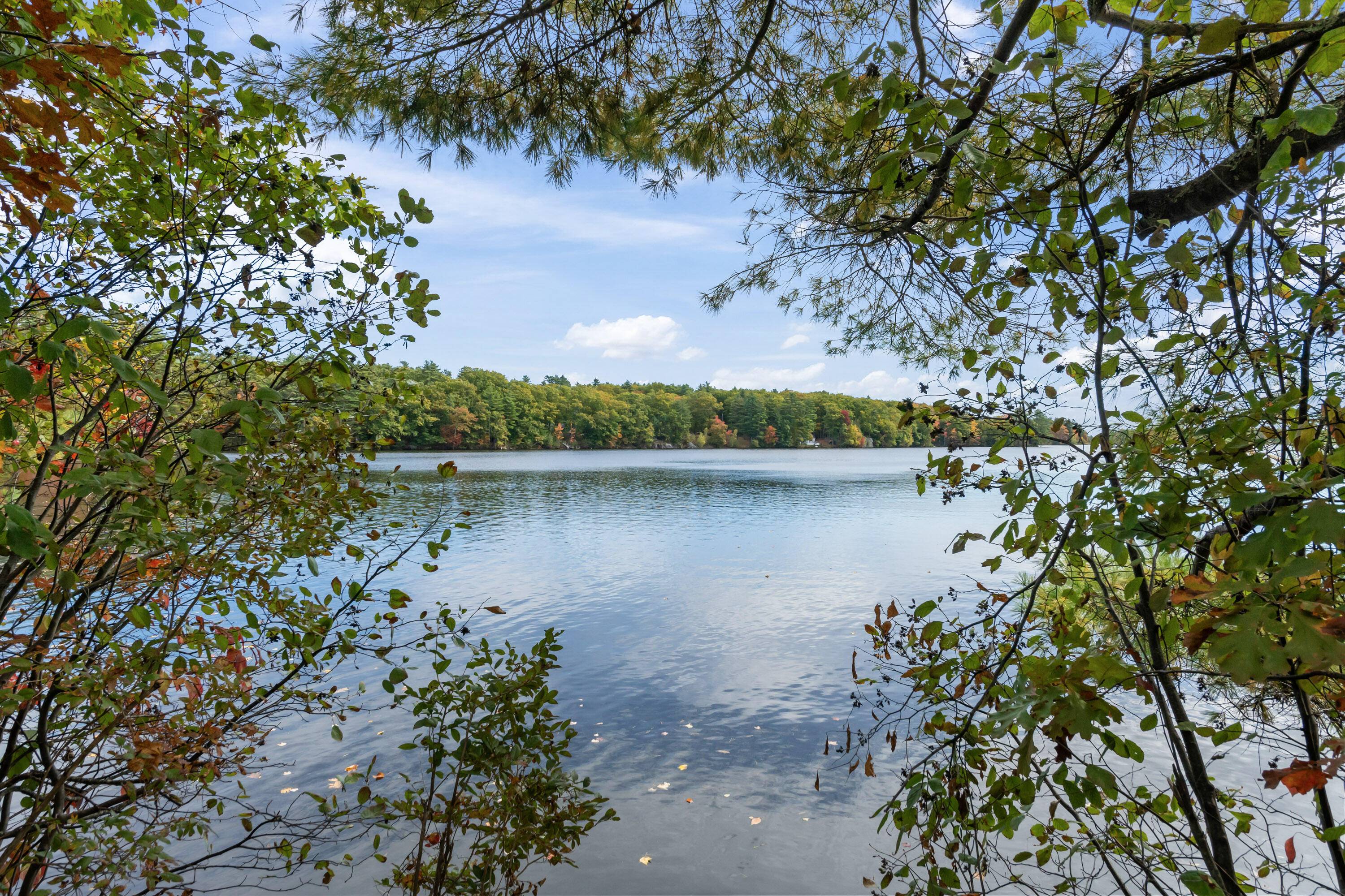 Tbd Tbd Branch View Terrace, Unit LOT 8 Alfred, ME 04002 - Photo 18 of 24 Branch View Estates_155