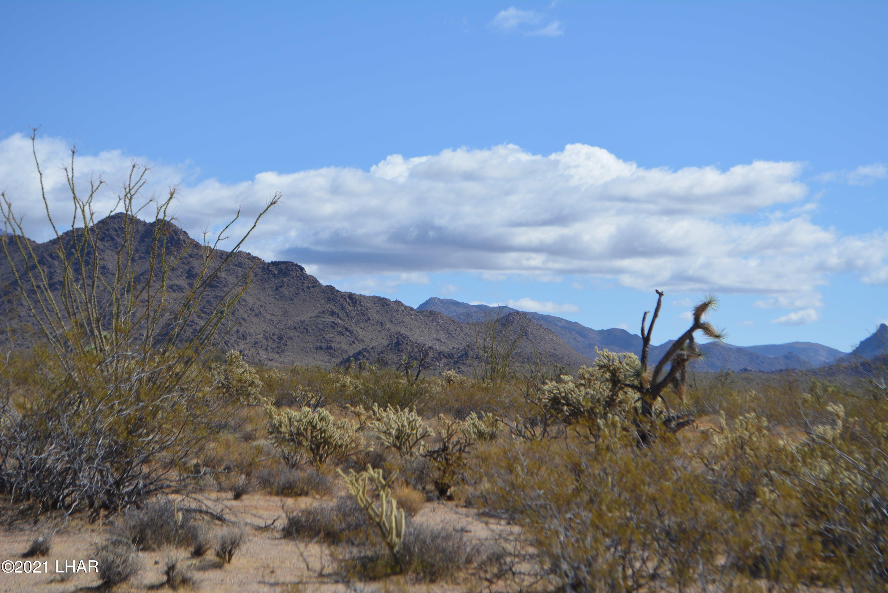 2791 South Wyatt Earp Road Yucca, AZ 86438 - Photo 11 of 29 DSC_0847