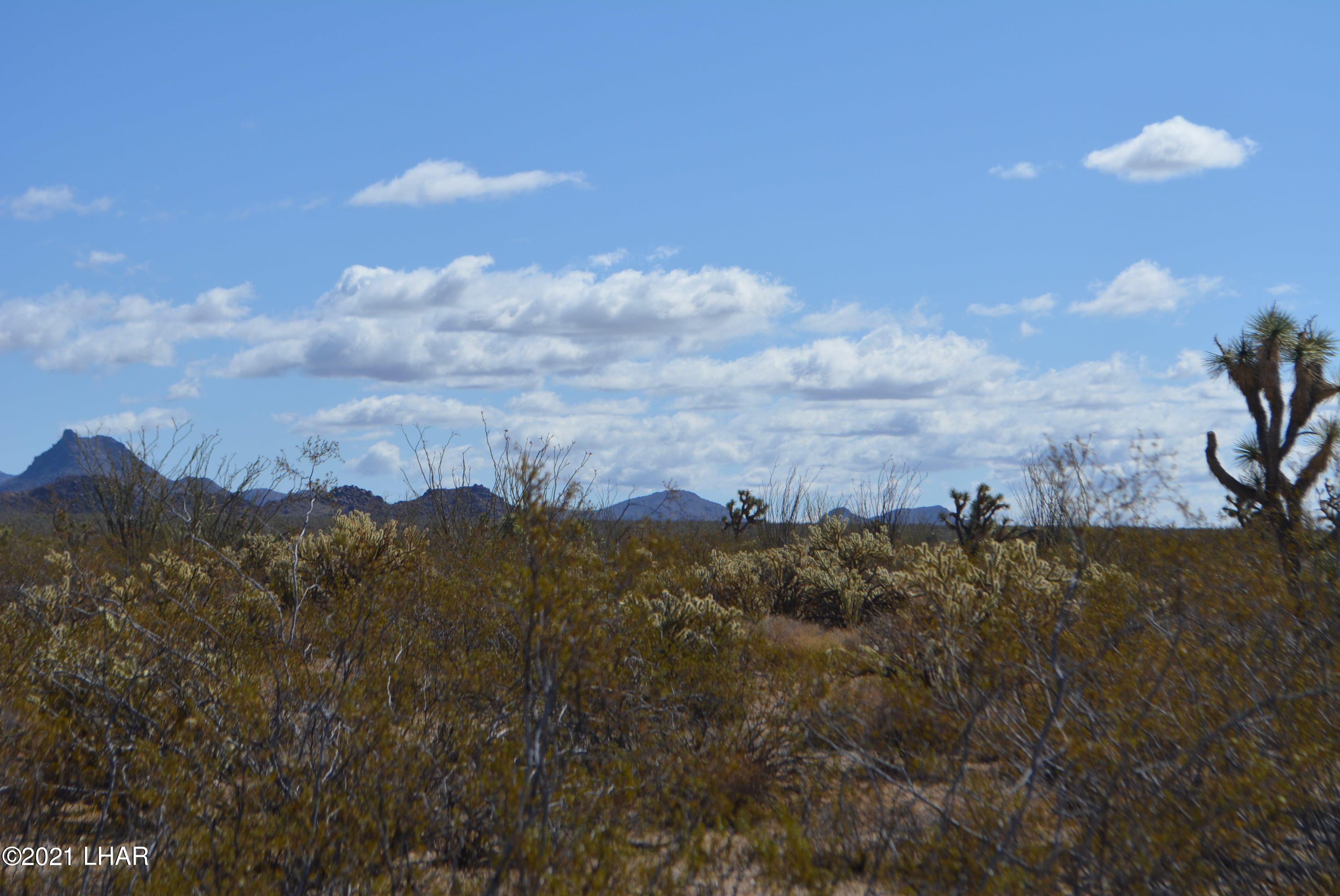 2791 South Wyatt Earp Road Yucca, AZ 86438 - Photo 12 of 29 DSC_0849