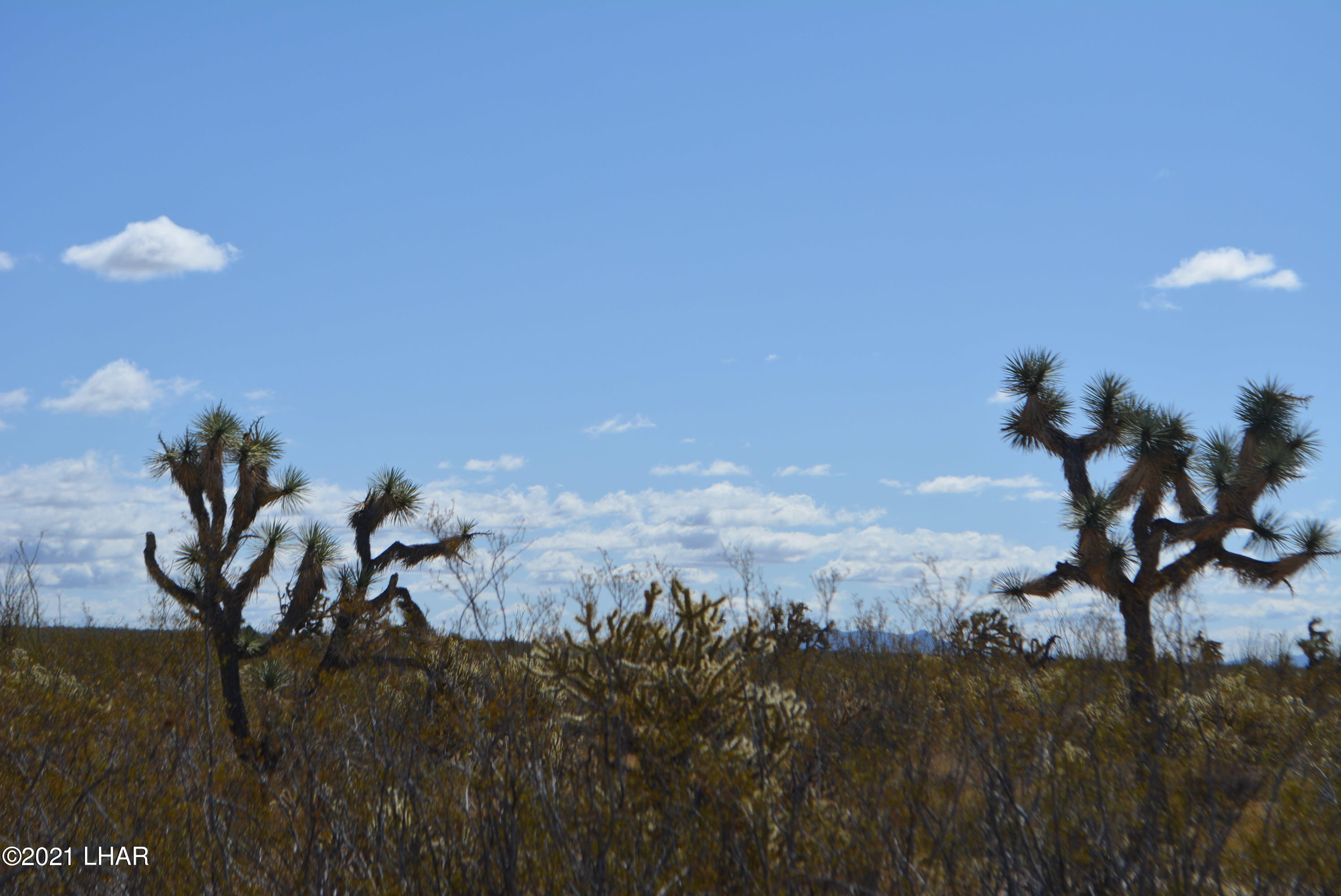 2791 South Wyatt Earp Road Yucca, AZ 86438 - Photo 13 of 29 DSC_0850