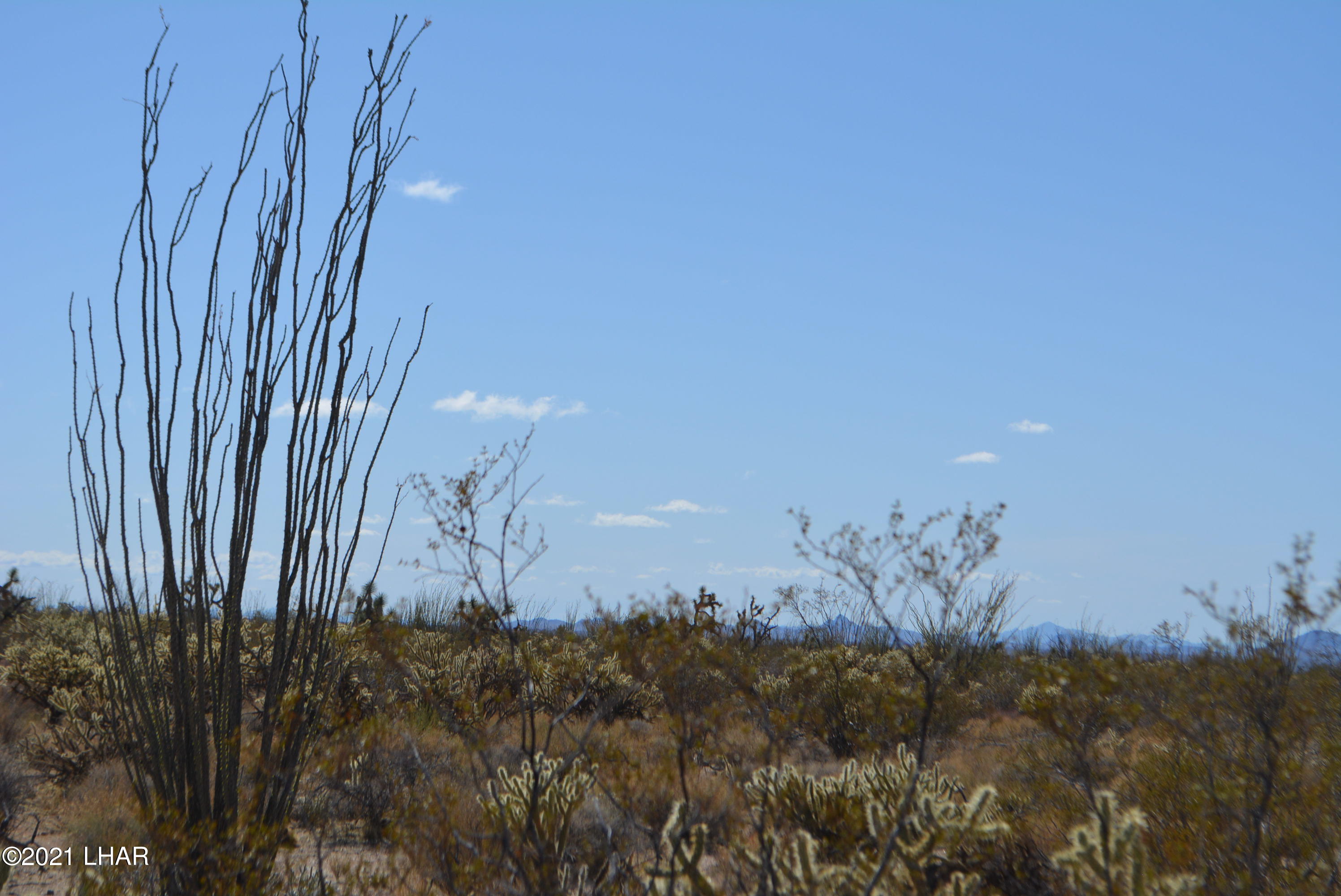 2791 South Wyatt Earp Road Yucca, AZ 86438 - Photo 14 of 29 DSC_0852