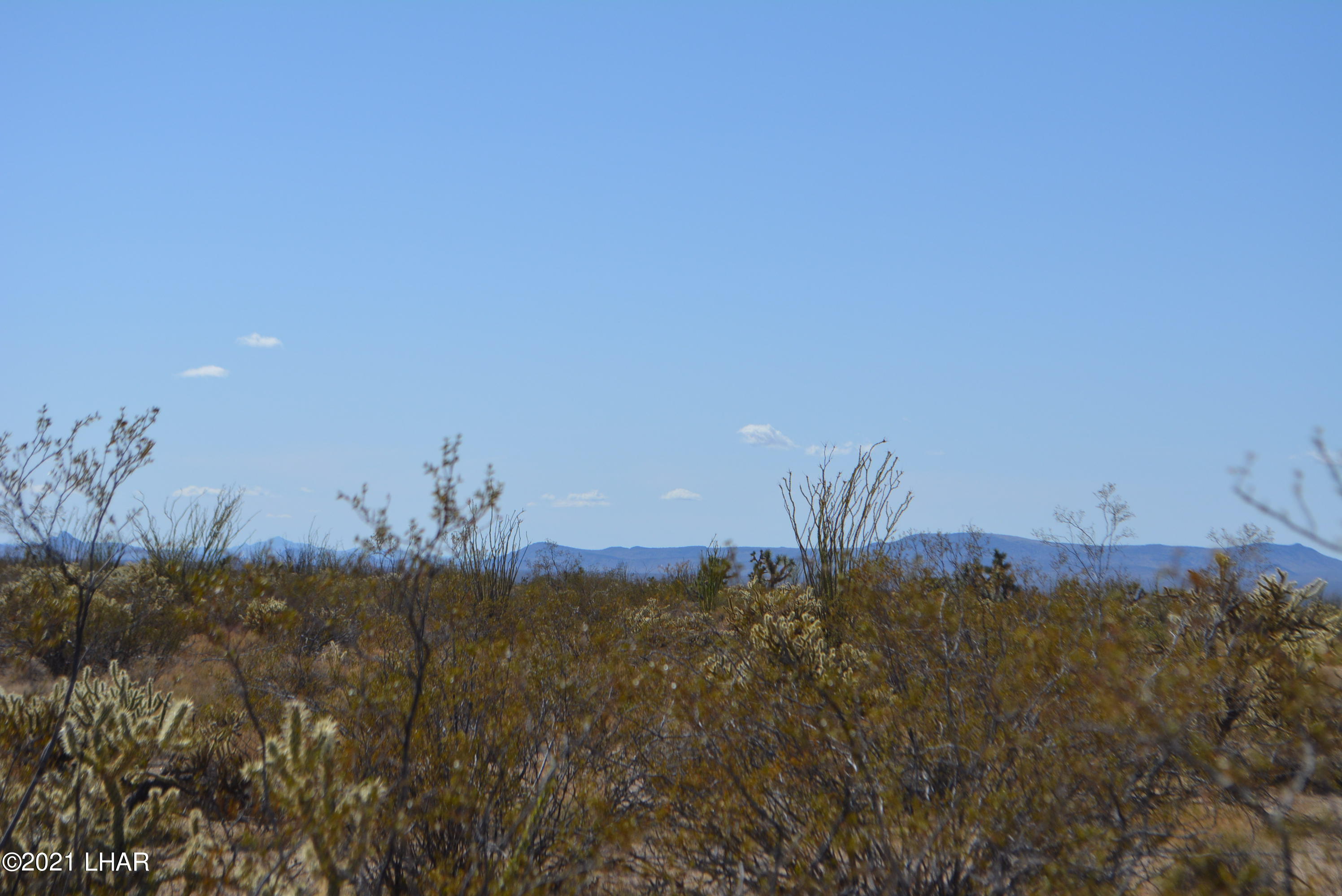 2791 South Wyatt Earp Road Yucca, AZ 86438 - Photo 15 of 29 DSC_0853