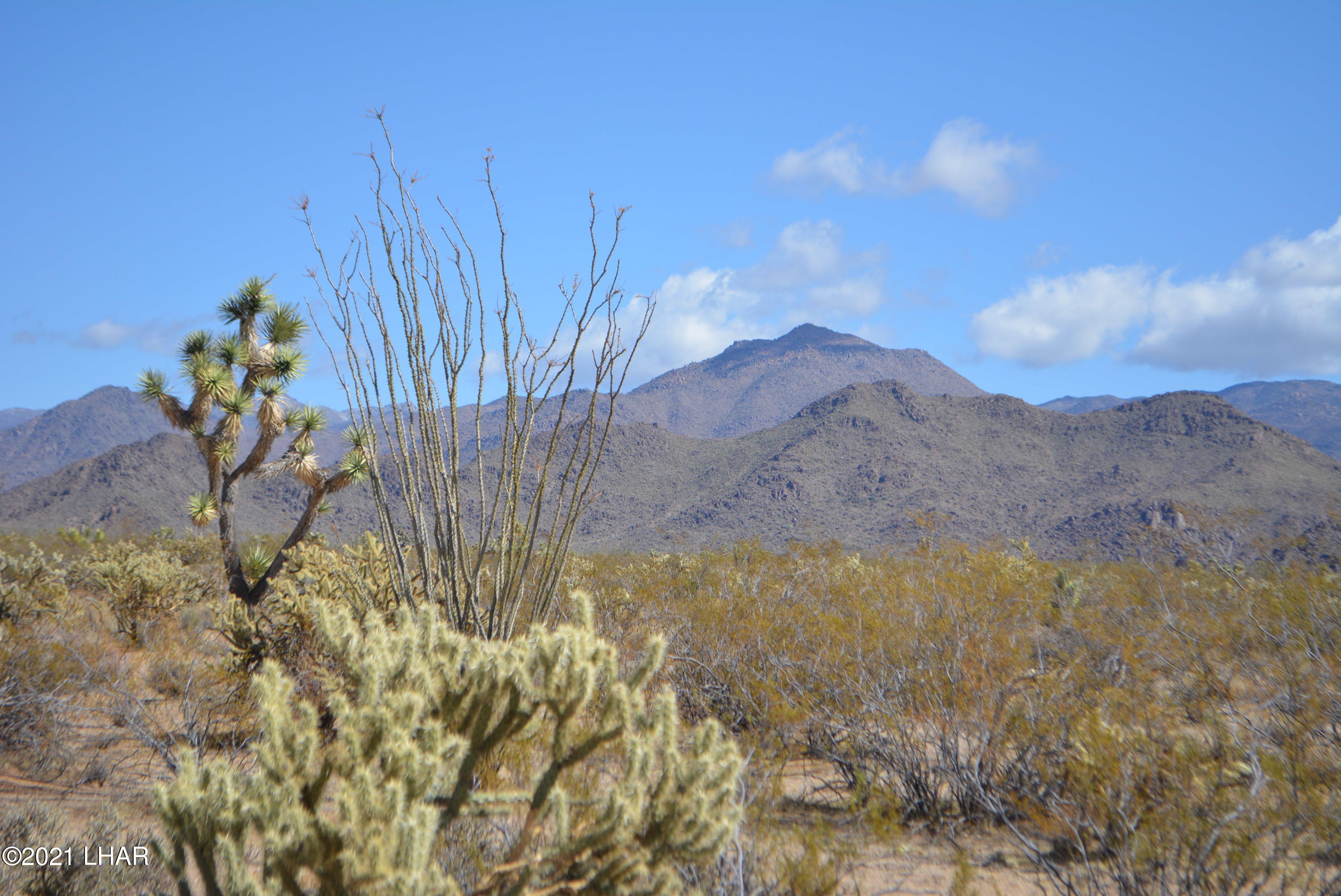 2791 South Wyatt Earp Road Yucca, AZ 86438 - Photo 16 of 29 DSC_0854