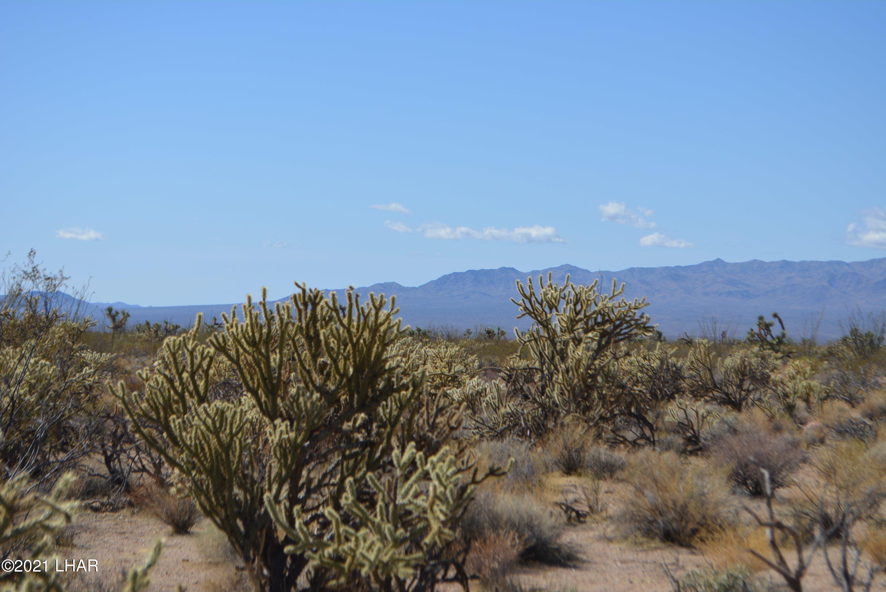 2791 South Wyatt Earp Road Yucca, AZ 86438 - Photo 17 of 29 DSC_0855
