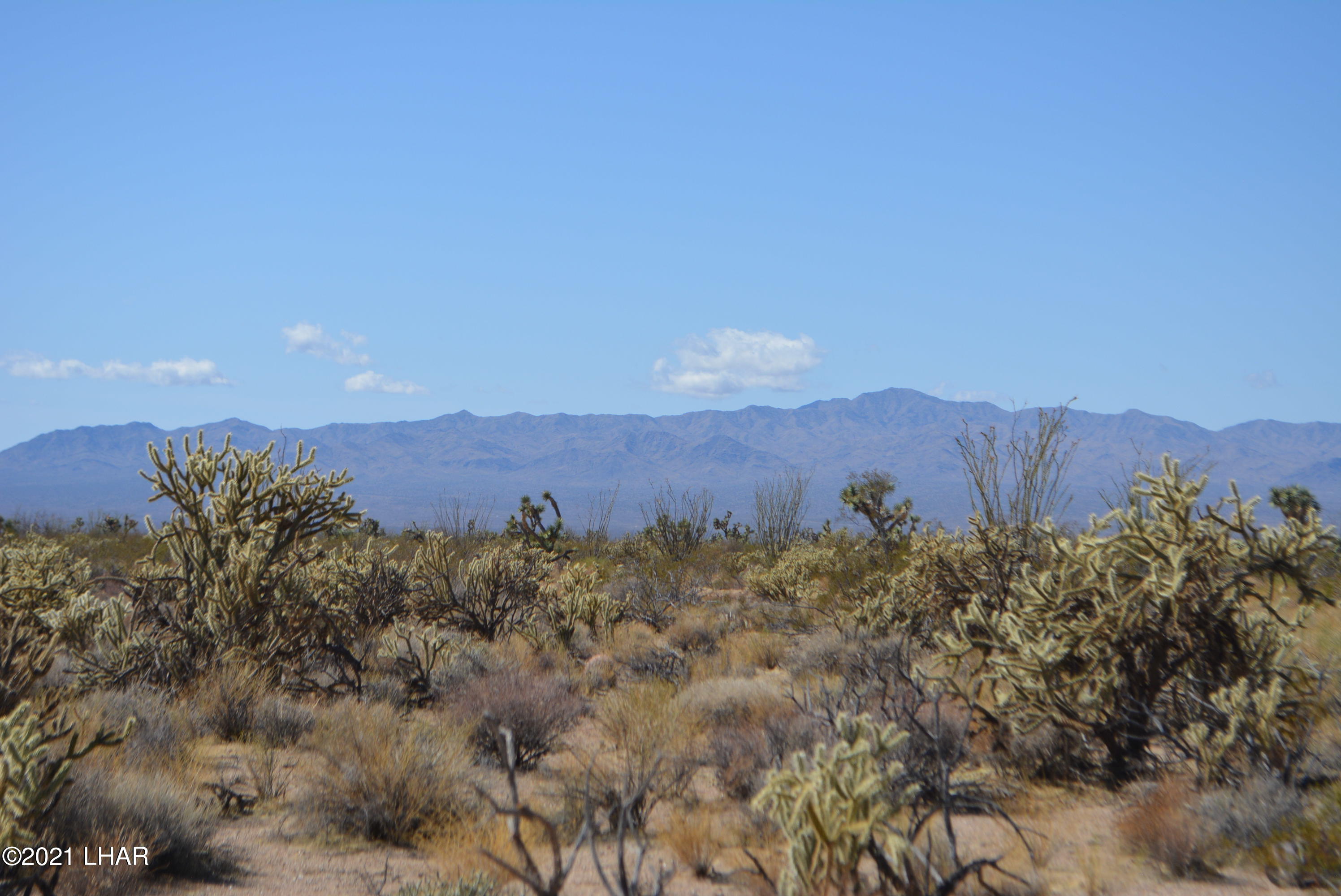 2791 South Wyatt Earp Road Yucca, AZ 86438 - Photo 18 of 29 DSC_0856