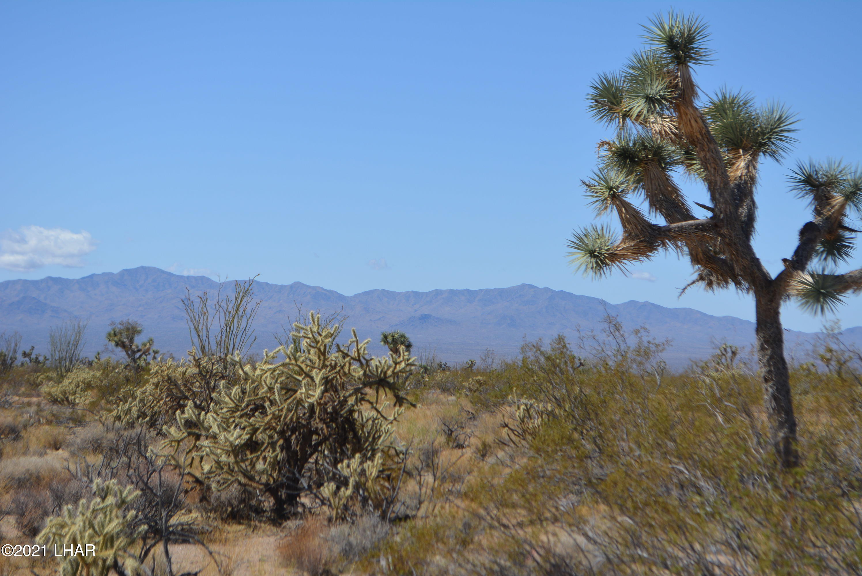 2791 South Wyatt Earp Road Yucca, AZ 86438 - Photo 19 of 29 DSC_0857