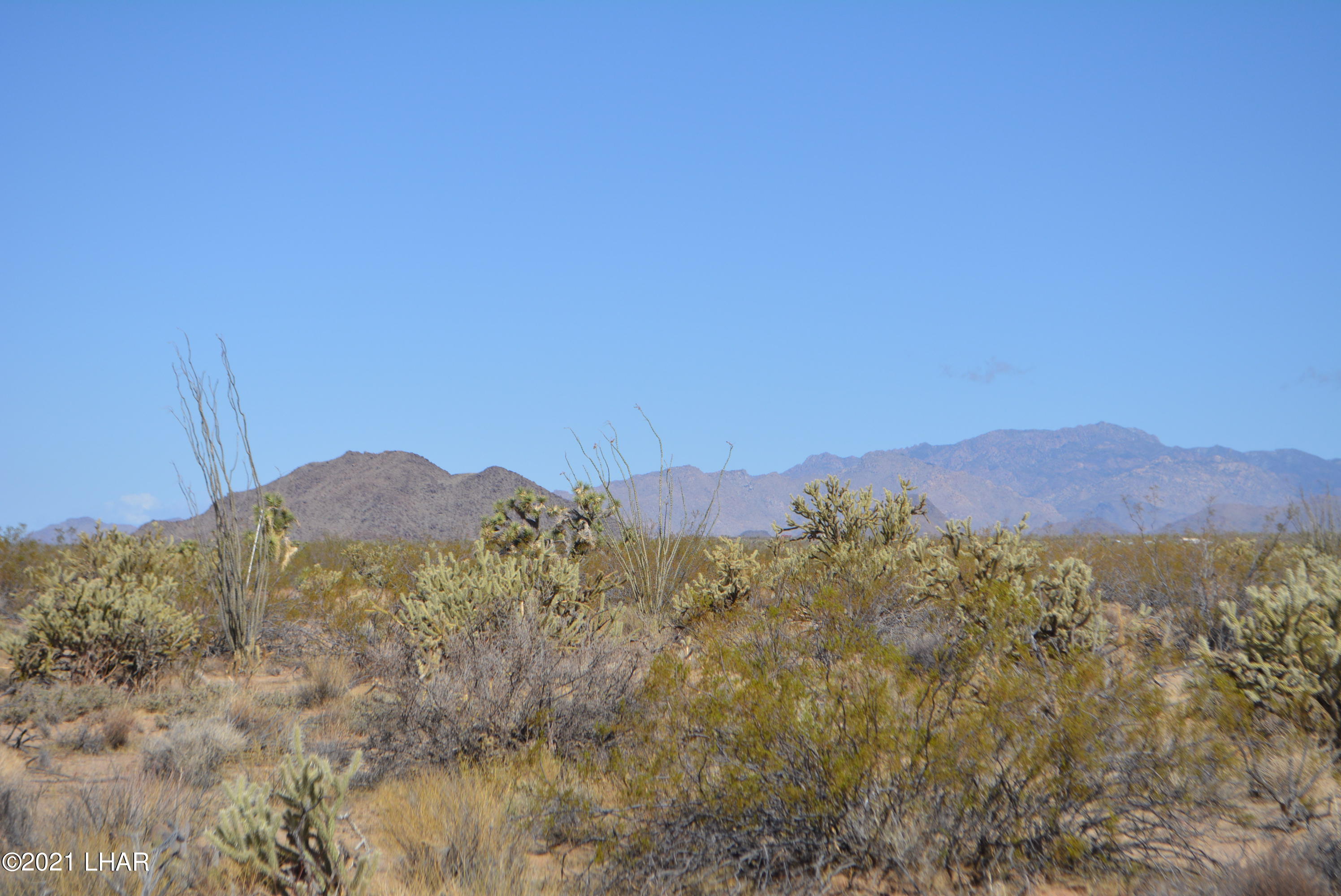 2791 South Wyatt Earp Road Yucca, AZ 86438 - Photo 2 of 29 DSC_0838