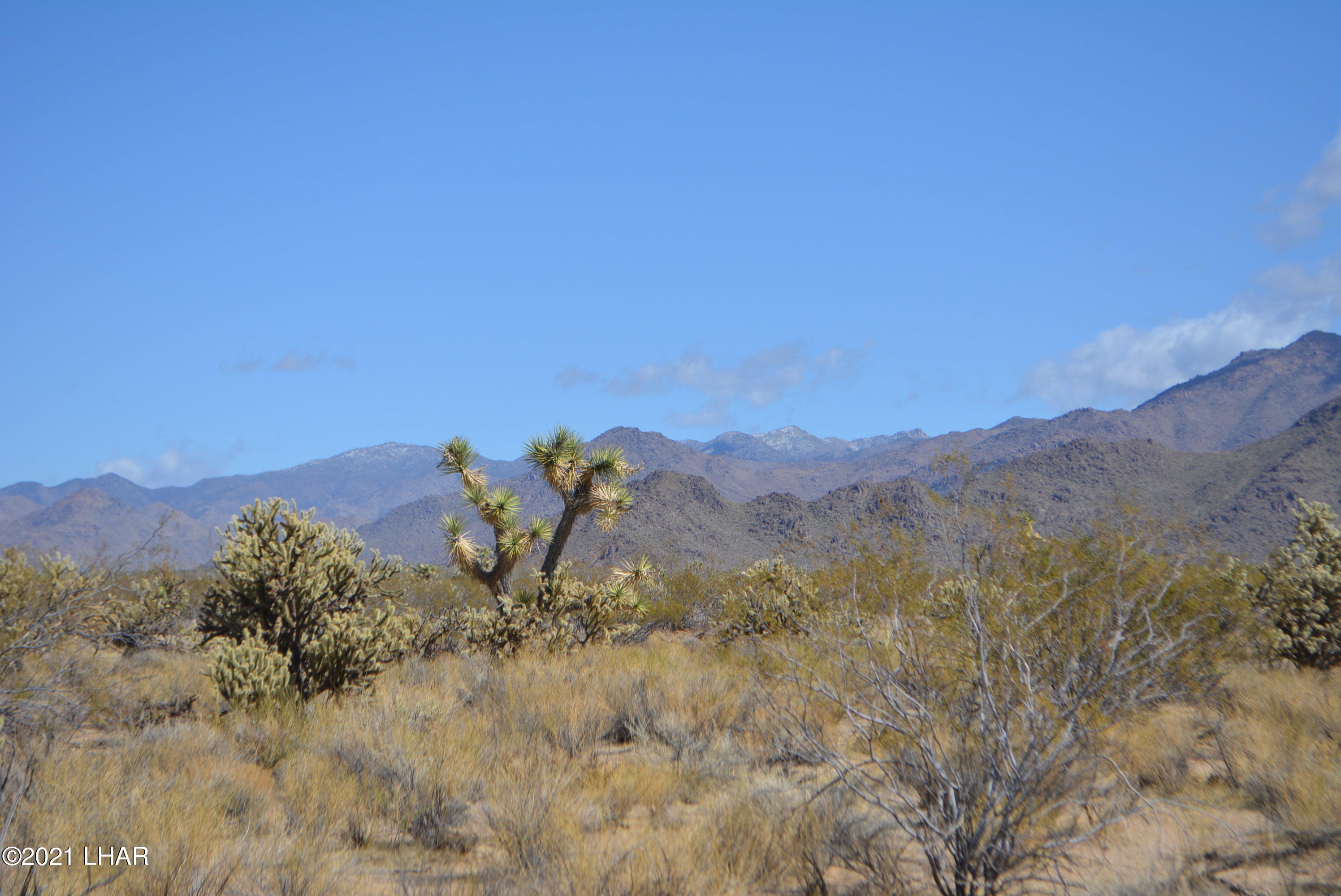 2791 South Wyatt Earp Road Yucca, AZ 86438 - Photo 21 of 29 DSC_0859